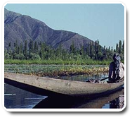 Golden Triangle Tour Packages Golden Triangle Tour Packages